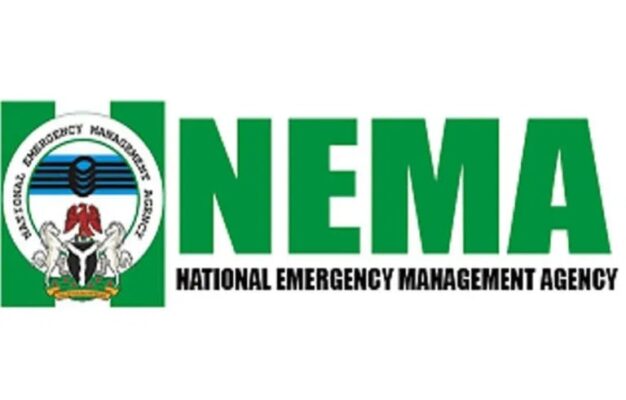 Nema 1 626X400 1