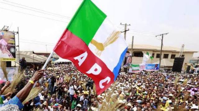 Apc Flag Logo