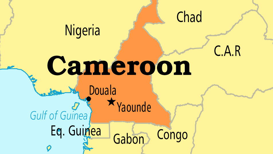 Cameroon Says 10 Kidnapped Children Freed