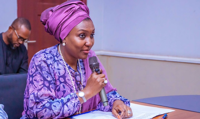 Director General National Emergency Management Agency Nema Mrs Zubaida Umar
