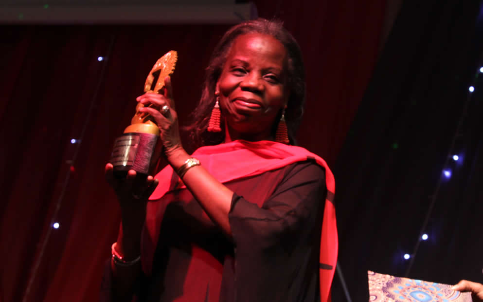 Doyin Abiola 2