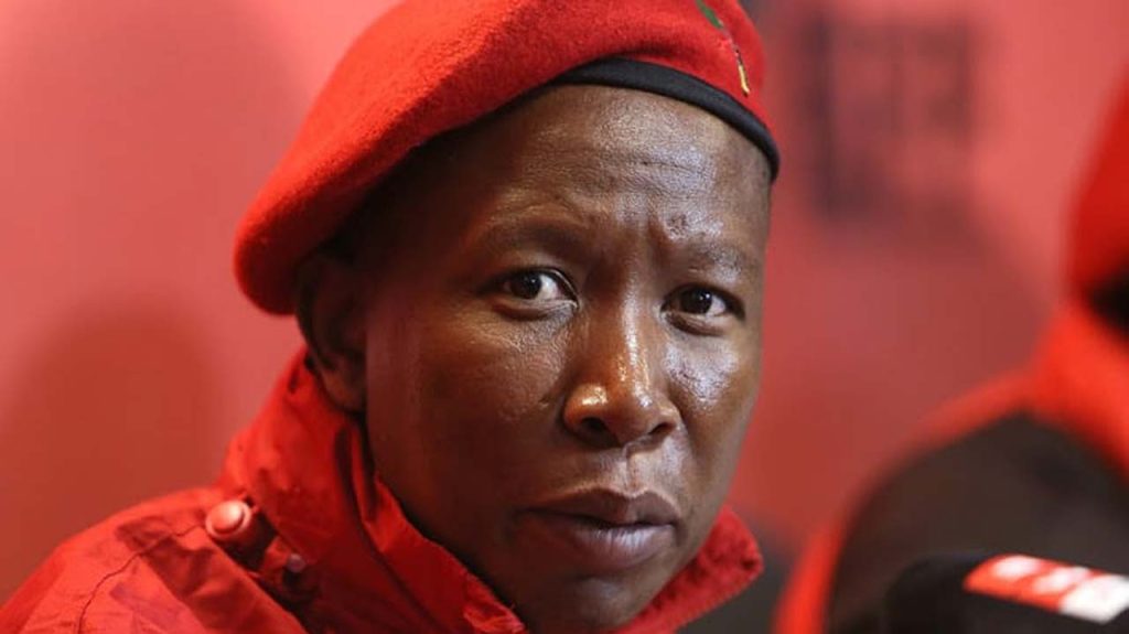 Julius Malema 1 1
