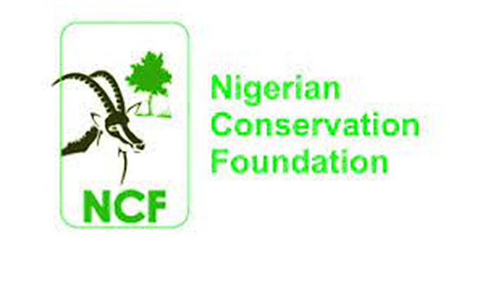 Ncf2