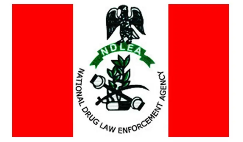 Ndlea 1