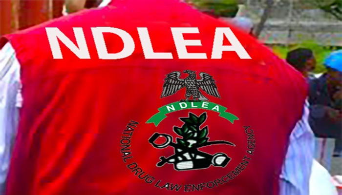 Ndlea Arrests 29-Year-Old Man With 7,000 Tramadol Capsules In Kano
