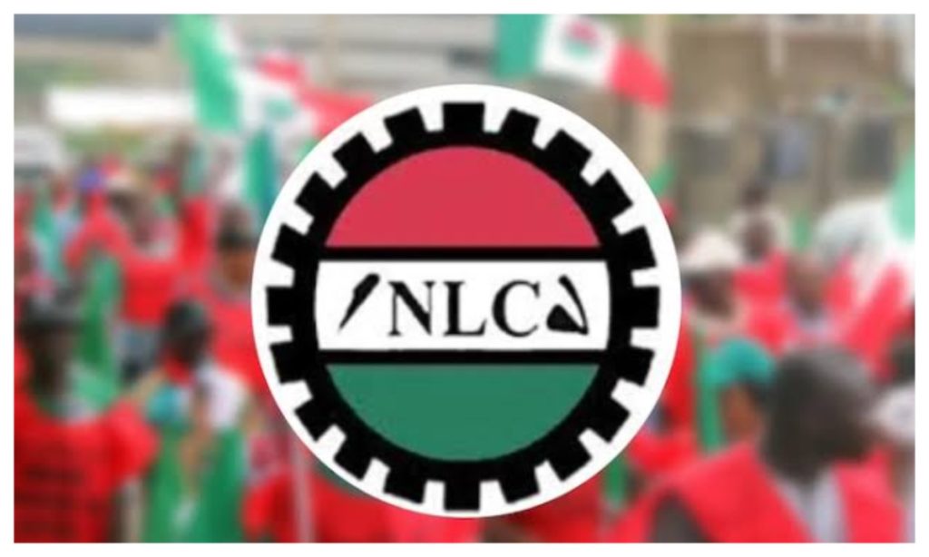 Nlc 1