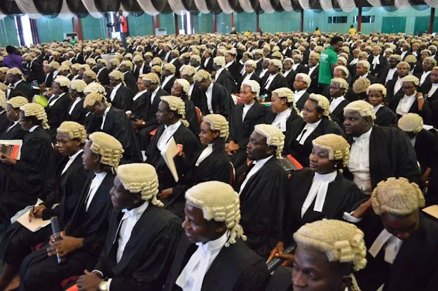 Nigerian Lawyers 1