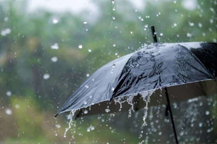 Rainfall