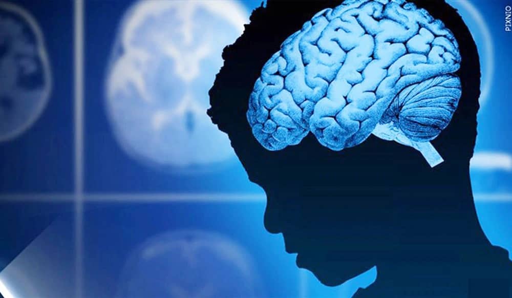 Breakthrough Discovery Offers Hope For Reversing Brain Ageing
