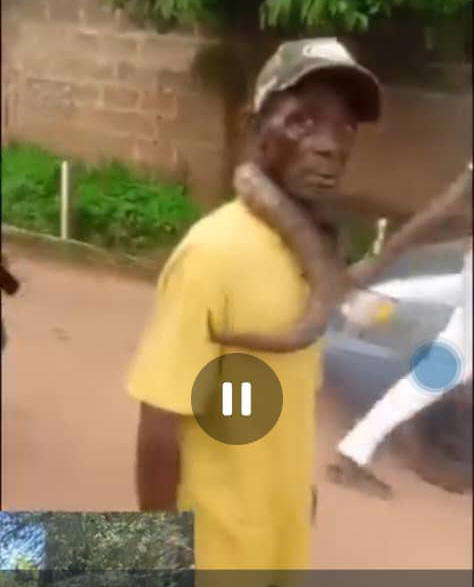 Man Beaten For Allegedly Killing Snake In Anambra
