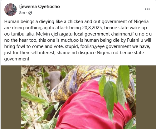 Armed Herdsmen K!Ll Mother, Son And Two Others In Fresh Benue Attack