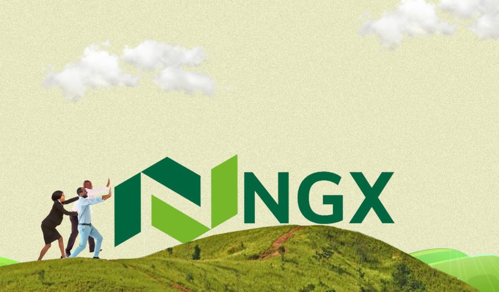 Domestic Investors Ngx