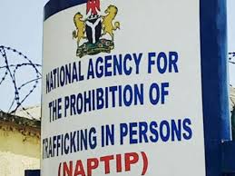 Naptip Rescues 25 Women Waiting To Be Trafficked To Middle East Countries