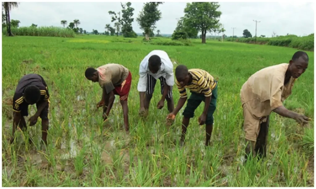 Farmers