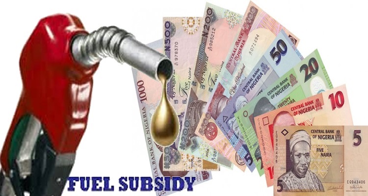 Fuel Subsidy3