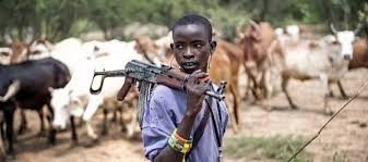 Benue: Again, Armed Herders Kill Mother, Son, Two Others In Agatu