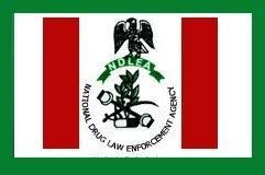 Images Ndlea E1619539520454