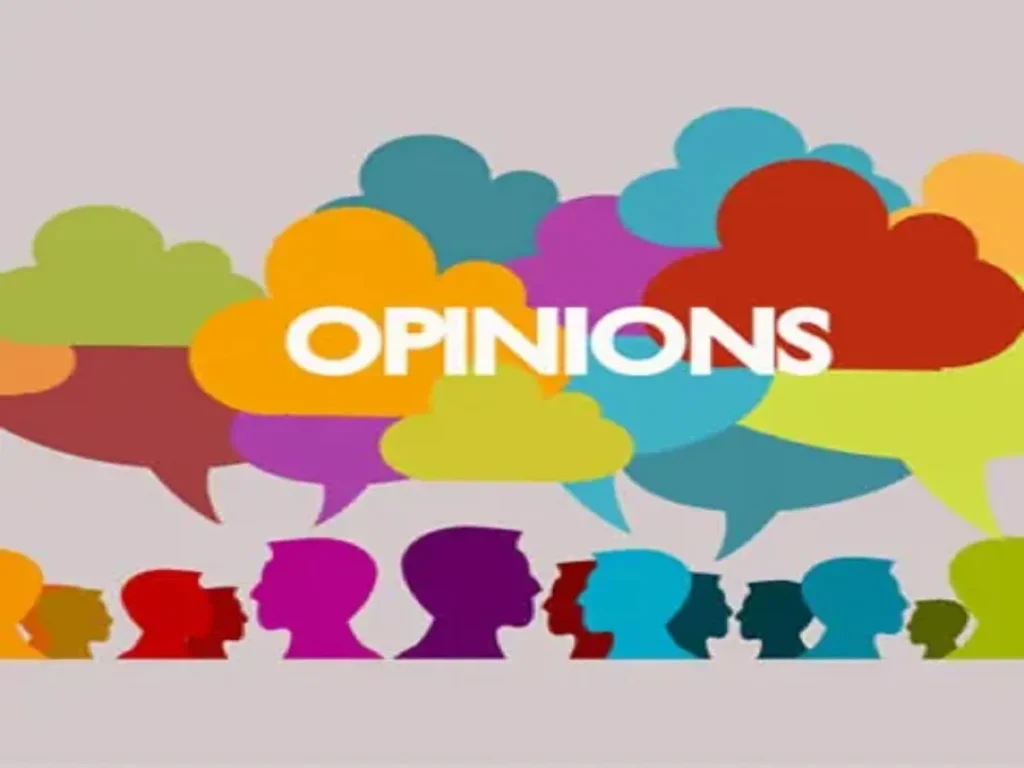 Opinion 1
