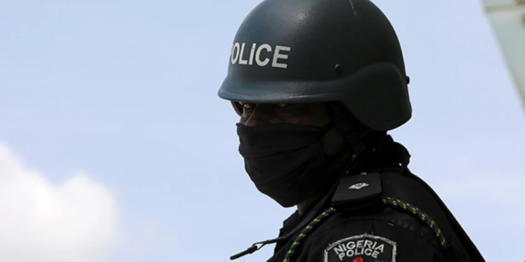 Police Helment