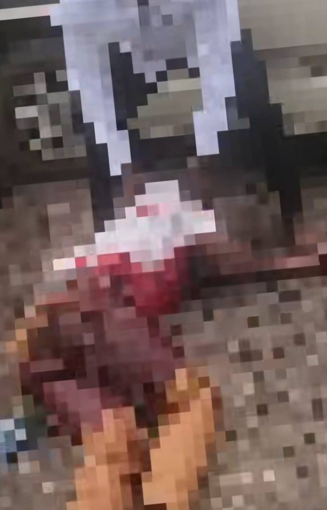U1 1756290720