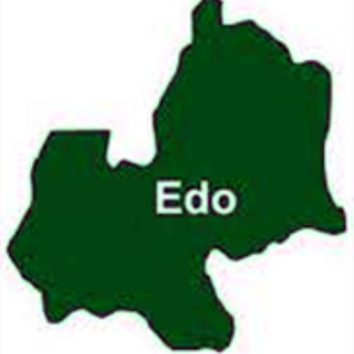 Edo Hospital Denies Complicity In Death Of Twins