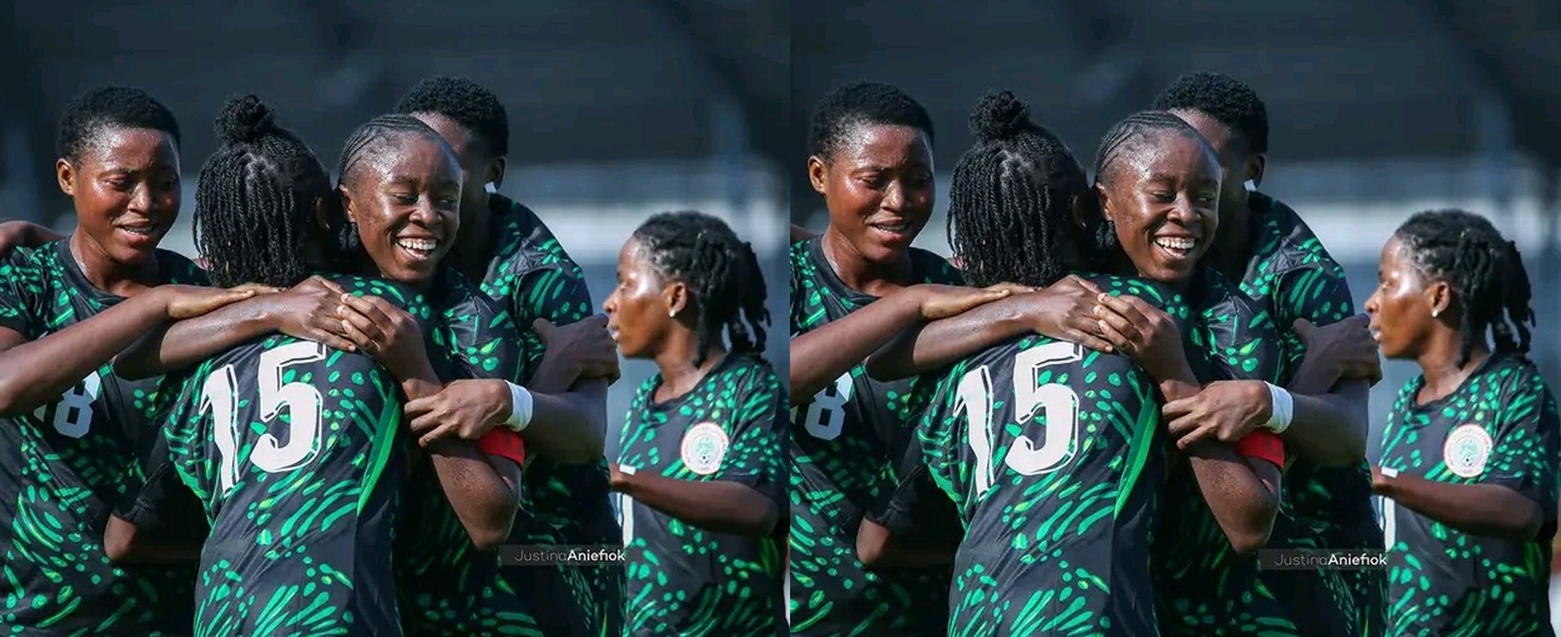 Falconet Win
