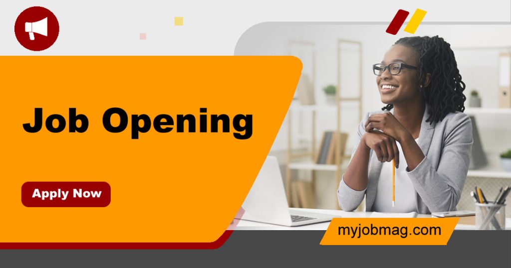 Accounts Officer – Kano At Helean Global Limited