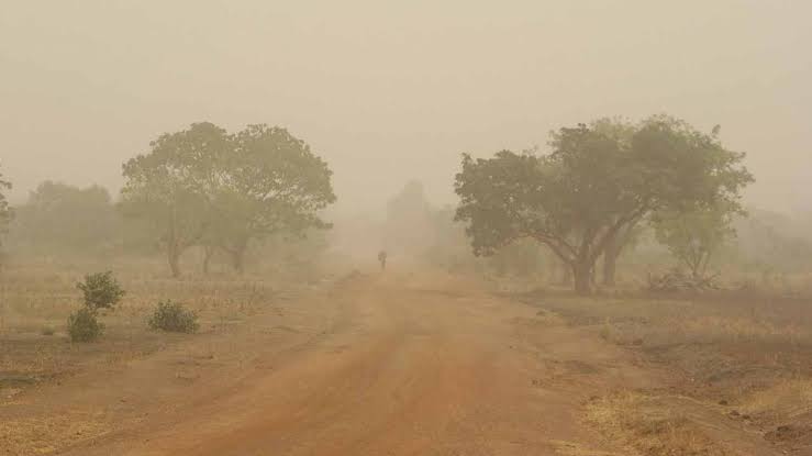 Latest Weather Forecasts: Nigeria To Experience Dust Haze, Rain, Says Nimet