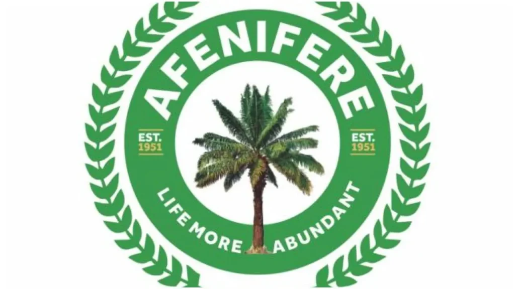 Afenifere Condemns Worsening Insecurity In Kwara, Kogi