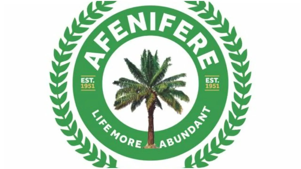 Afenifere 1