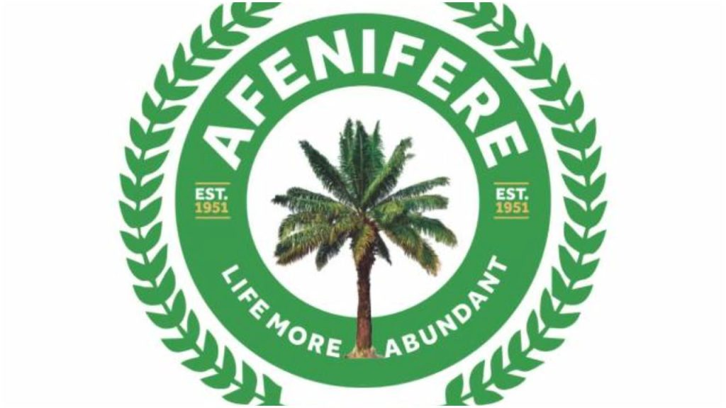 Prioritize Governance Over Party Loyalty – Afenifere To Southwest Leaders