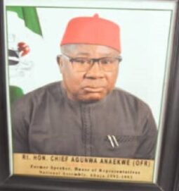 Tinubu Mourns Passing Of Ex-Speaker Agunwa Anaekwe