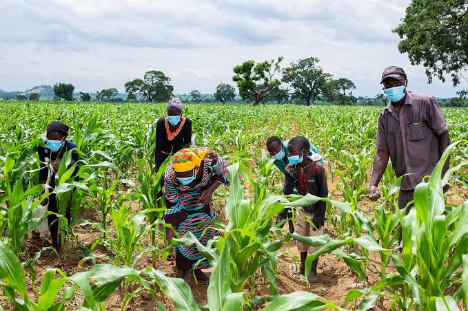 Young Agripreneurs, Innovators Hope For Profitable Agricultural Value Chains