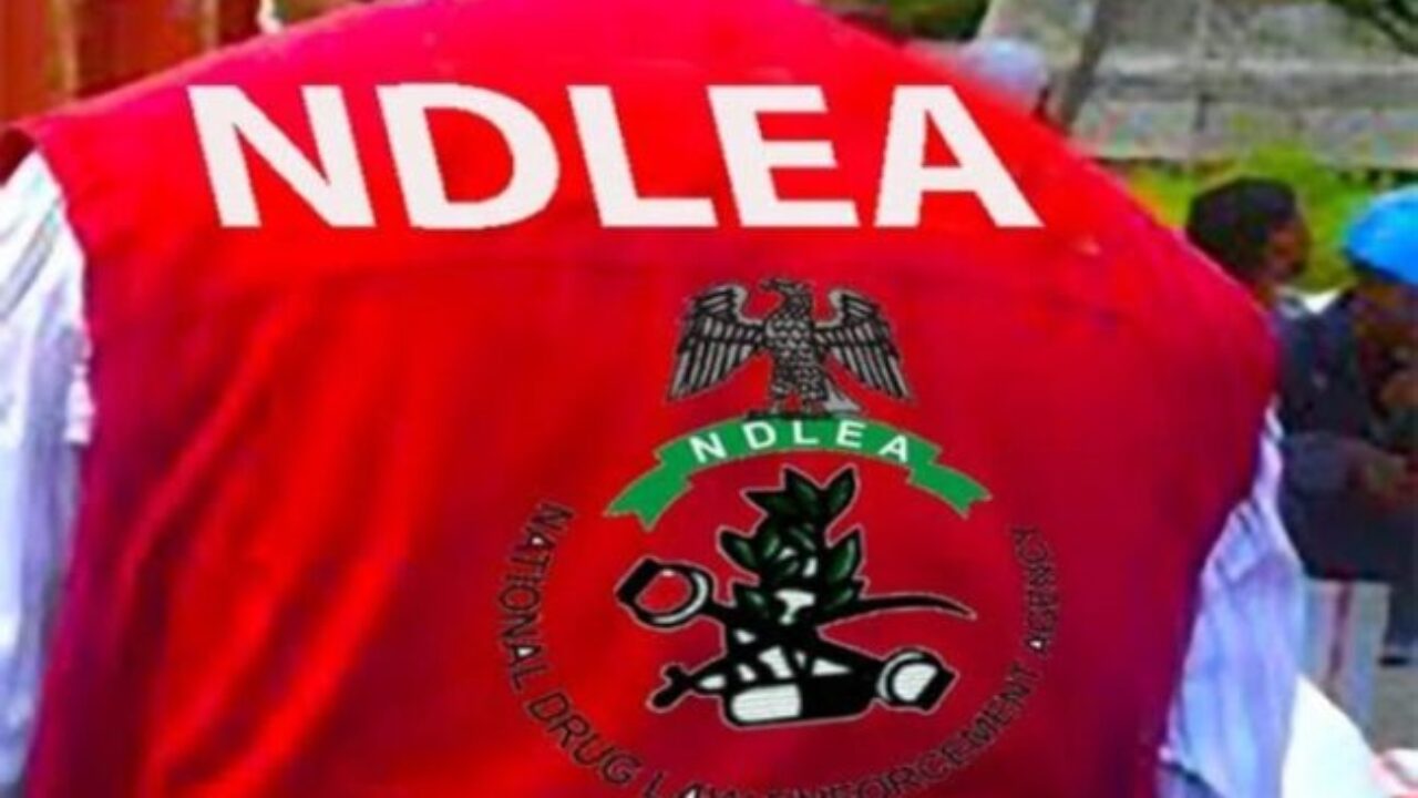 Ndlea 1