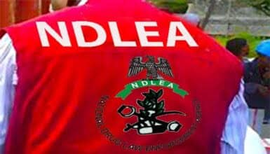 Ndlea