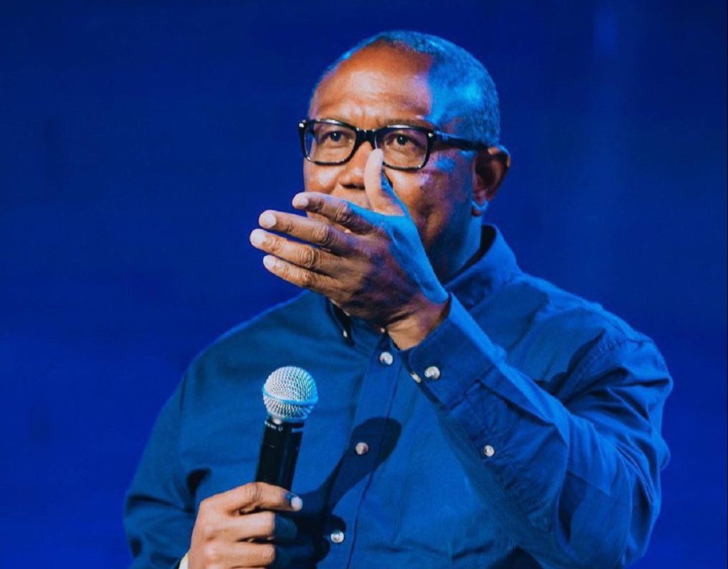 Uche Nnaji: Certificate Forgery Undermines Nigeria’S Democracy — Peter Obi