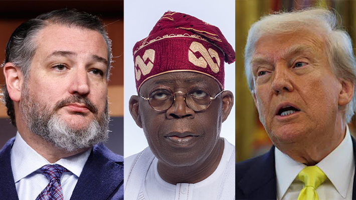 Tinubu Feeling Miserable Because I Told Trump To Designate Nigeria As Country Of Particular Concern: Ted Cruz
