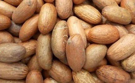 Two Teenagers In Court For Stealing Four Coconuts, Bitter Kola