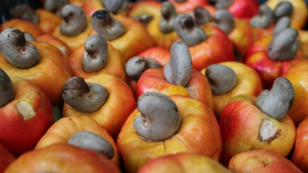 Cashew Very Vital To Nigeria’S Non-Oil Export Aspirations