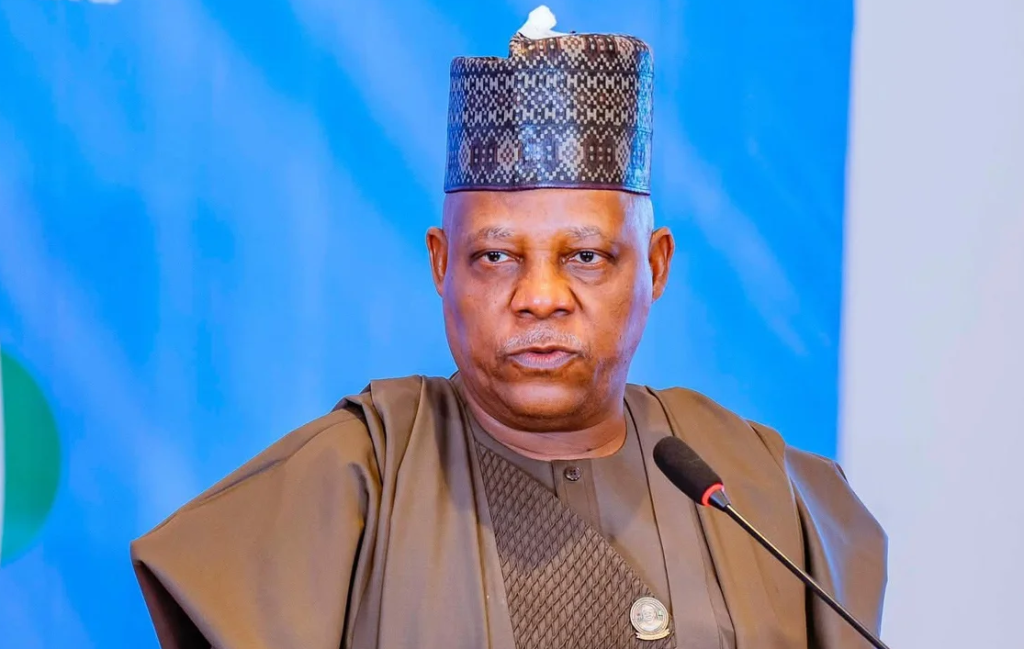 Shettima Urges Governors To Focus On Improving Citizens’ Lives, Not Giving Speeches 