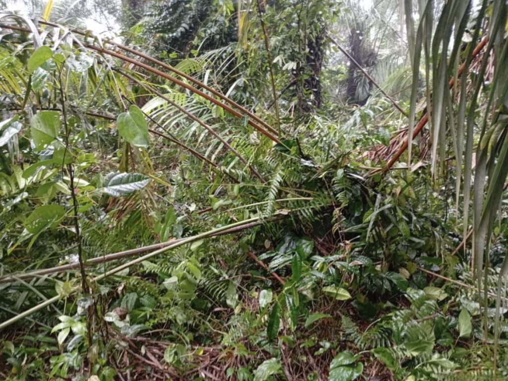 Rivers Businessman Laments As Naf Destroys Factory Mistaken For Illegal Refinery