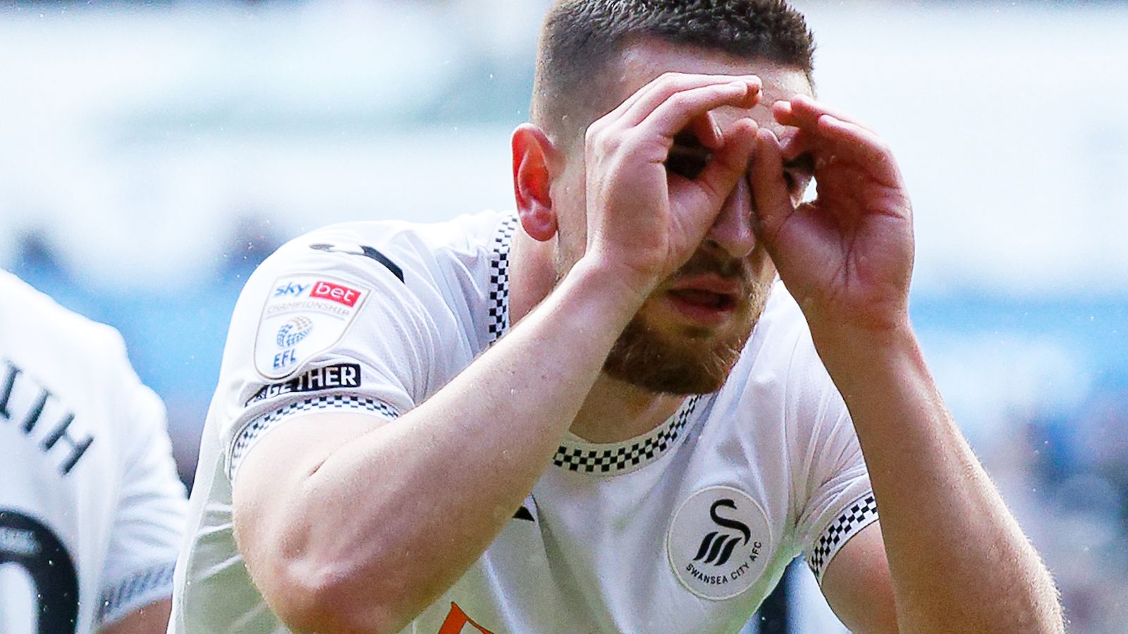 Skysports Zan Vipotnik Swansea City 7061709