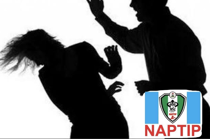 Naptip Hunts Husband As Wife Undergoes Emergency Surgery After Assault