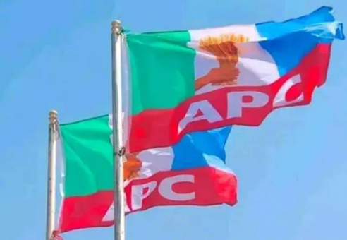 Apcc 492X340 1 Nerc Appointment: Kano Apc Chairman Appeals For Restraint Among Members