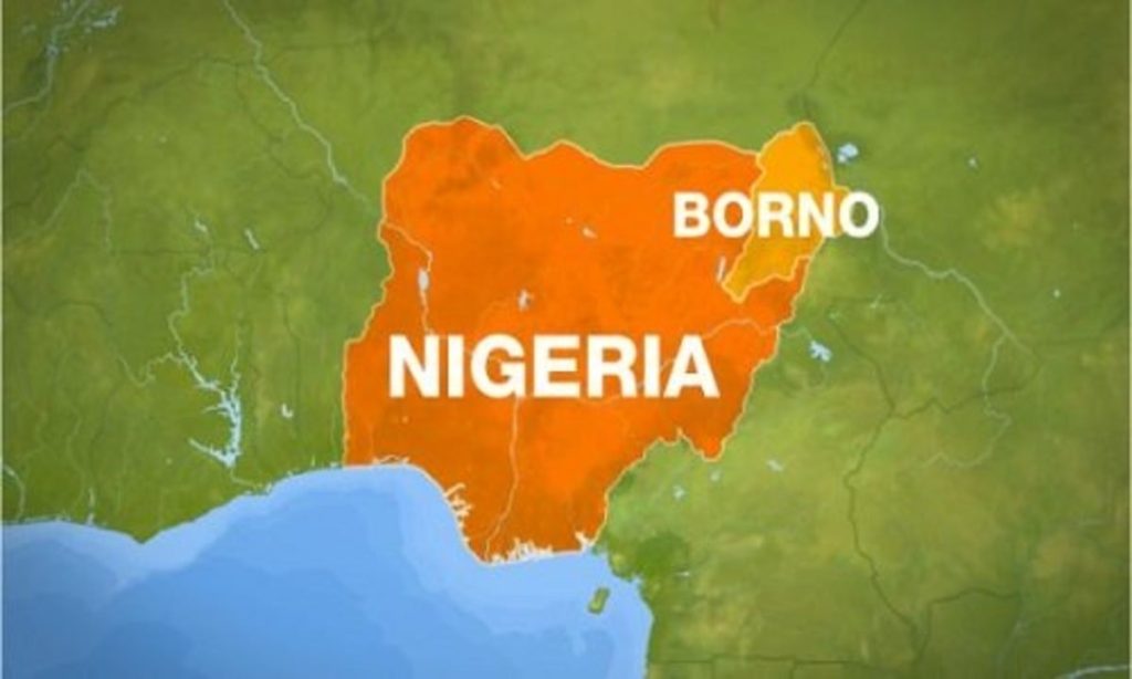 Iswap Kills Army Commander After Rescue Operation In Borno