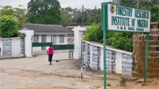 Frin Advocates Adequate Funding For Research Institutes