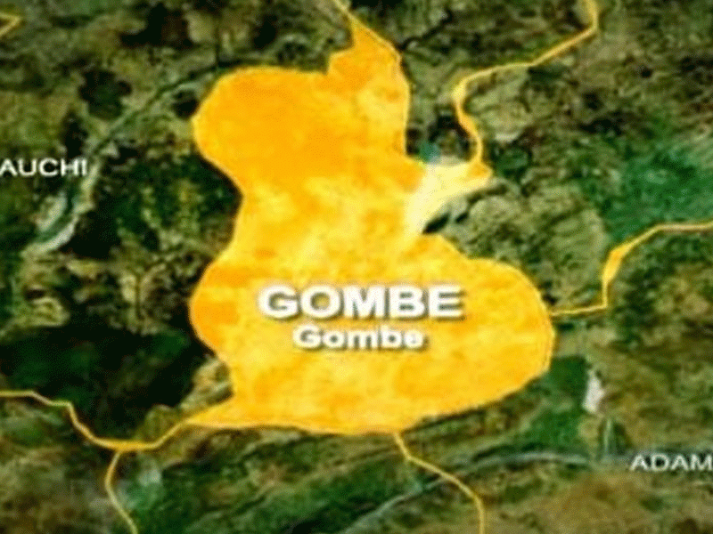 Gombe0 Gombe0