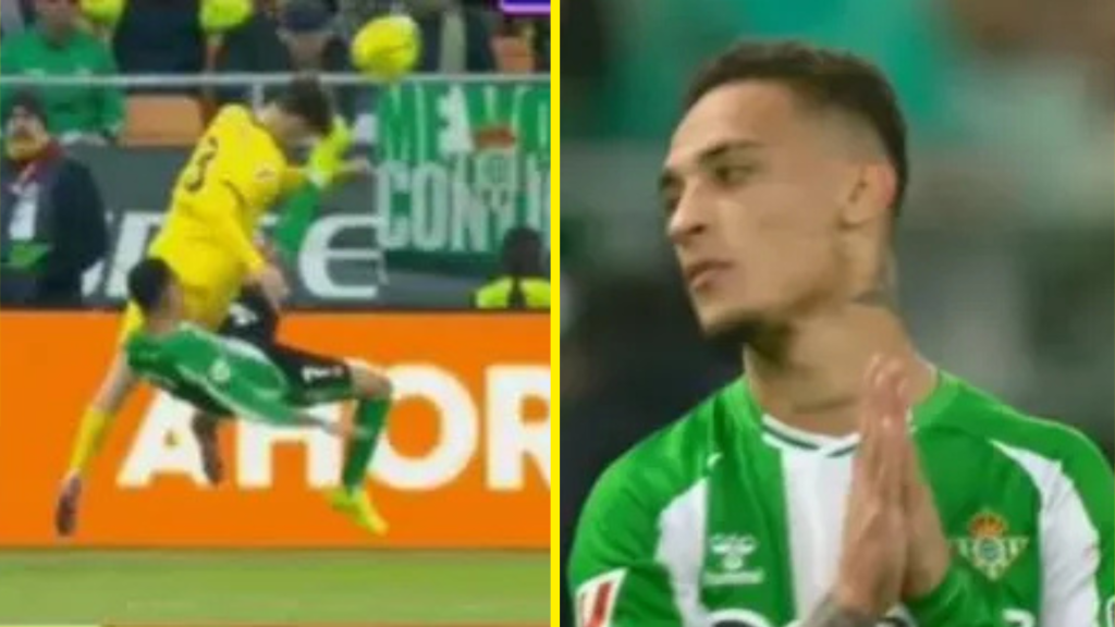 Google Discover Twin 44 Google Discover Twin 44