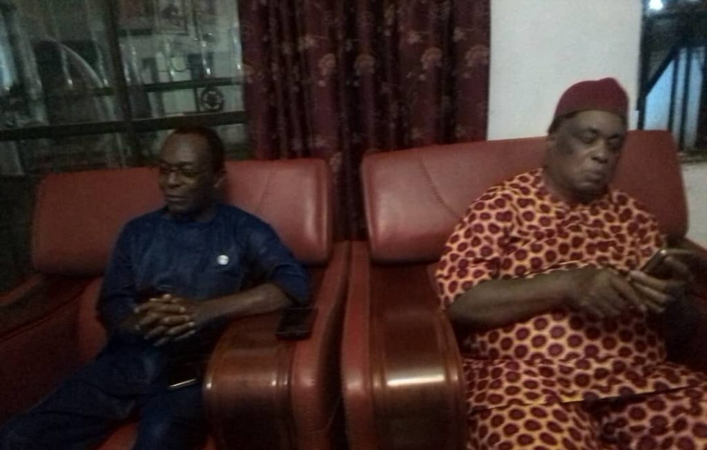 Anambra Community Celebrates Return Of Slave Descendant From Usa