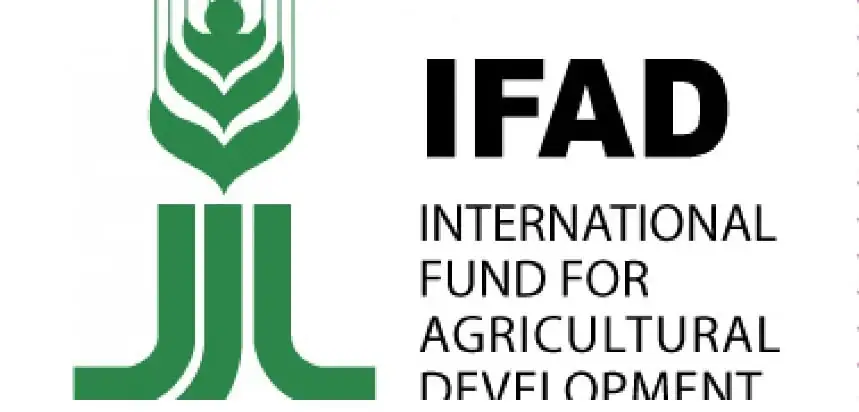 Ifad Harps On Youth Potential For Food Sovereignty In Nigeria